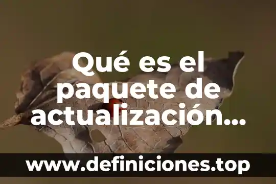 Adhesivos a base de resinas plásticas que es 6 Qué es el paquete de actualización Wes México