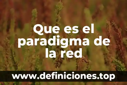 Que es el paradigma de la red
