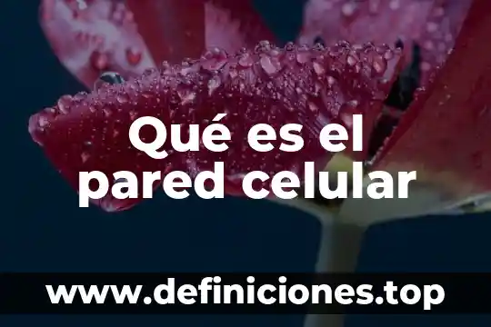Que es un inbox en celular 8 Qué es el pared celular