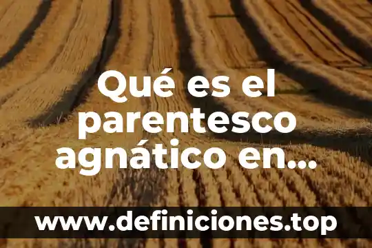 Que es litis en derecho romano 8 Qué es el parentesco agnático en derecho romano