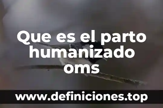 Significado de que es la ofimatica 8 Que es el parto humanizado oms