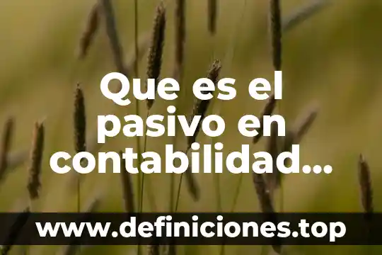Que es y que daños causa un fumador pasivo 3 Que es el pasivo en contabilidad resumen