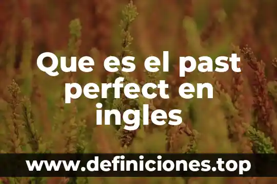 Que es la interseccion de una funcion 3 Que es el past perfect en ingles
