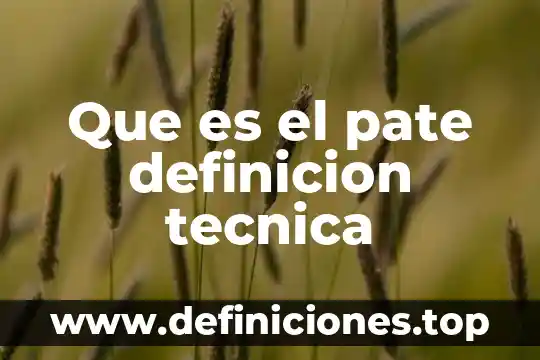 Que es el pate definicion tecnica