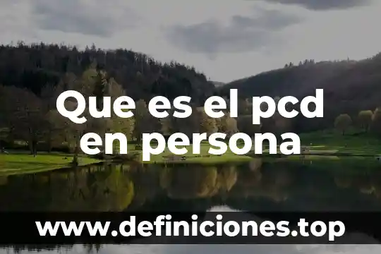 Qué es una persona moral y como se conforma 3 Que es el pcd en persona
