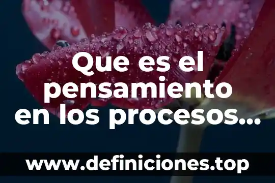 Que es el pensamiento en los procesos cognitivos