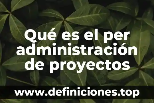 Que es ingreso per capita animado 7 Qué es el per administración de proyectos