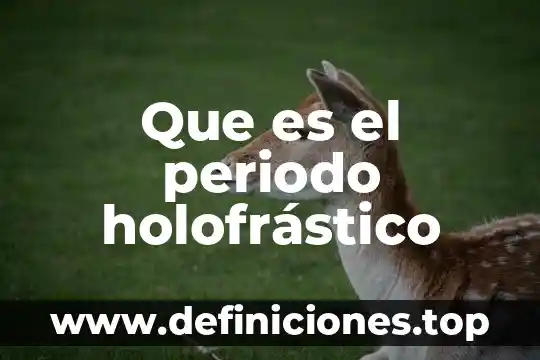 Que es el periodo en una funcion periodica 8 Que es el periodo holofrástico