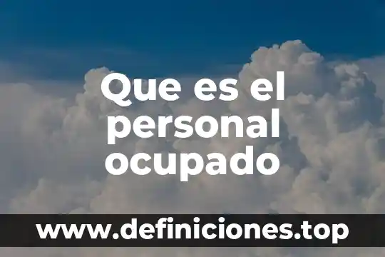 Que es el personal ocupado