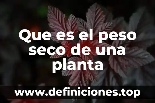 Que es el peso seco de una planta