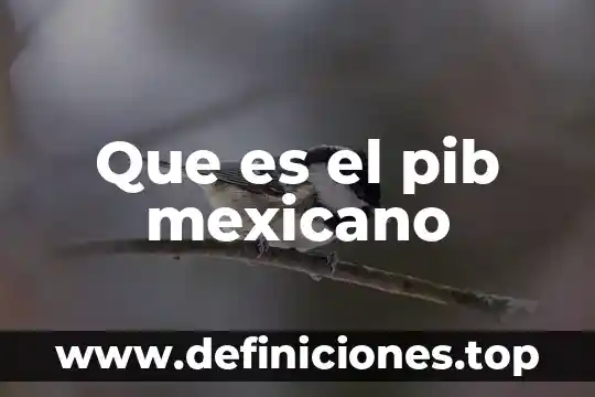 Qué es un mexicano por naturalización 5 Que es el pib mexicano