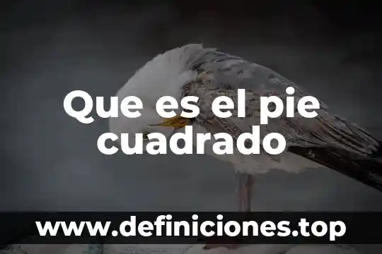 Qué es un cuadrado de jupiter 3 Que es el pie cuadrado