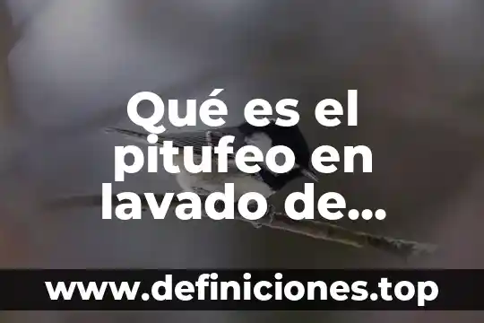 Revaluación de activos fijos que es 7 Qué es el pitufeo en lavado de activos