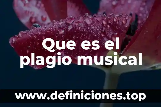 Que es plagio en musica 6 Que es el plagio musical