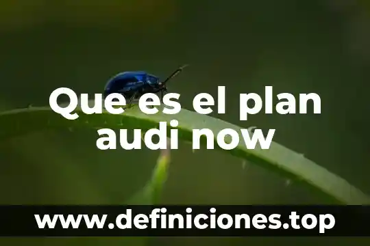 Redalyc que es la niñez en psicologia 7 Que es el plan audi now