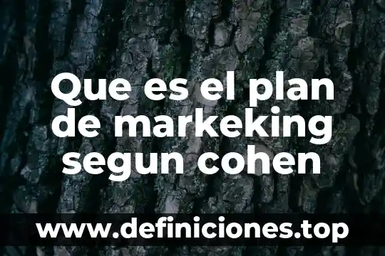 Que es un plan de accion alternativo 7 Que es el plan de markeking segun cohen