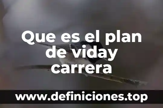 Que es el plan de viday carrera