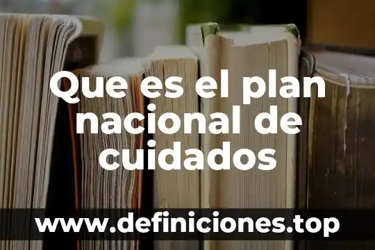 Que es un consejo nacional de turismo 6 Que es el plan nacional de cuidados