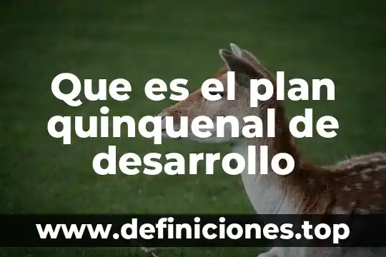 Que es el desarrollo segun baltes 4 Que es el plan quinquenal de desarrollo
