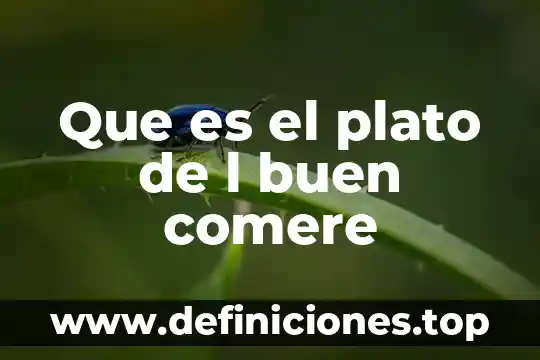 Que es la plato del buen comer 4 Que es el plato de l buen comere