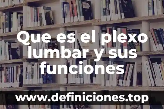 Qué es química su historia y funciones 8 Que es el plexo lumbar y sus funciones