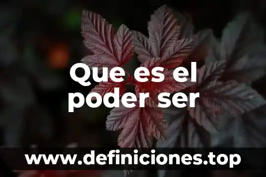 Que es el poder ser