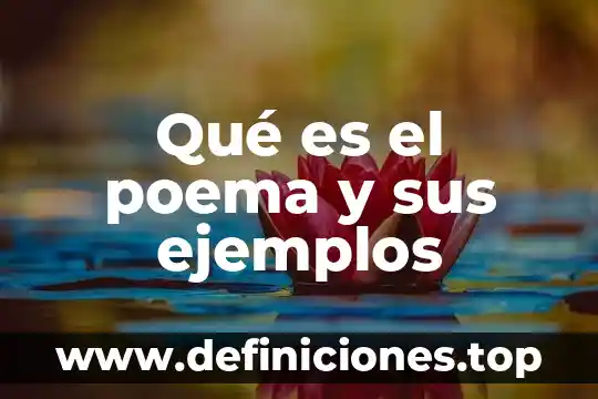 Que es haiga ejemplos 7 Qué es el poema y sus ejemplos