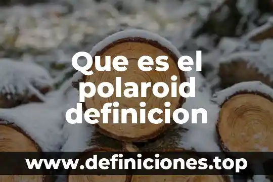 Que es el polaroid definicion