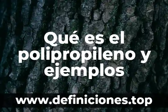 Qué es el polipropileno y ejemplos