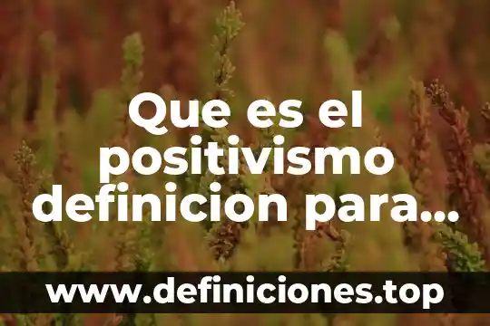 Que es el positivismo definicion para niños