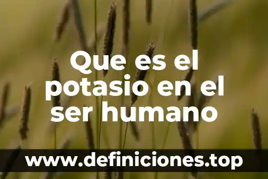 Que es el potasio en el ser humano