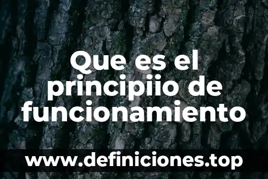 Que es el principiio de funcionamiento