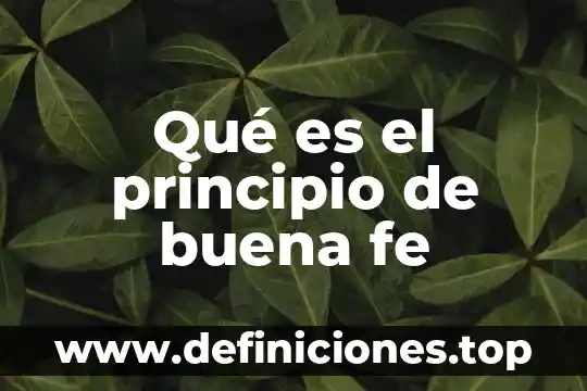 Qué es el principio de buena fe