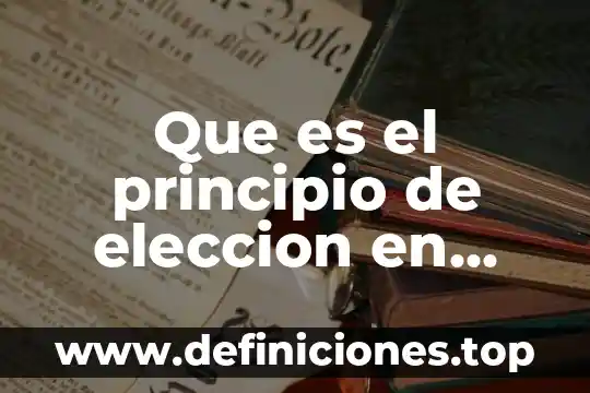 Que es el principio de eleccion en economia