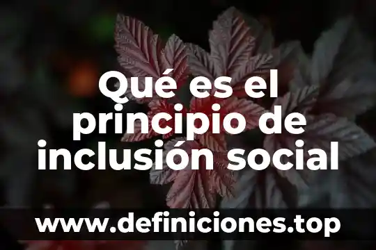 Que es la inclusion social en mexico 7 Qué es el principio de inclusión social