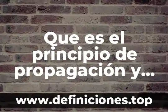 Que es el principio de propagación y el efecto