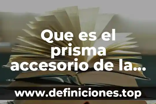 Qué es lo que hacemos en cada estación del año 4 Que es el prisma accesorio de la estacion total definicion