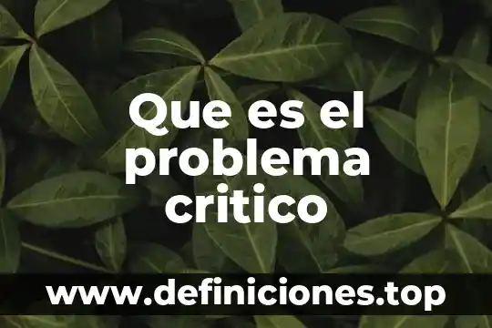 Que es un problema multidisciplinar 7 Que es el problema critico