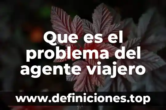 Que es un problema multidisciplinar 8 Que es el problema del agente viajero