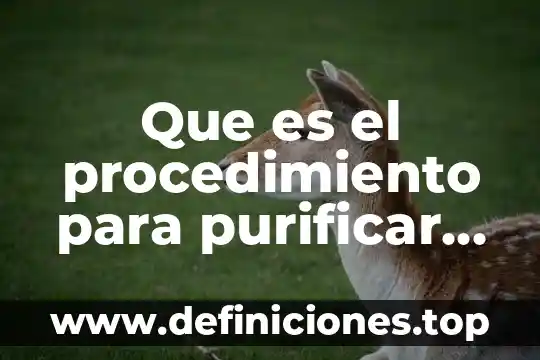 Qué es un proceso, procedimiento y actividad 3 Que es el procedimiento para purificar el agua residual