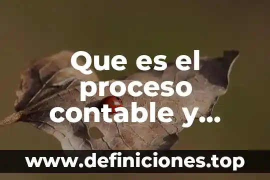 Que es un paquete de software contable 7 Que es el proceso contable y etapas