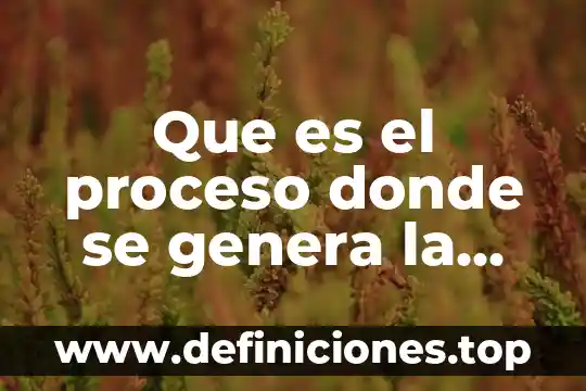 Que es el proceso donde se genera la publicidad