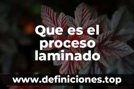 Que es la calidad del proceso 7 Que es el proceso laminado
