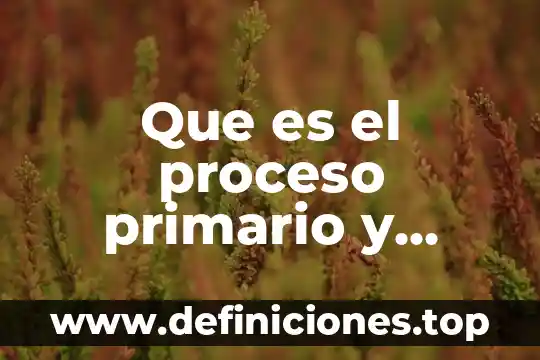 Que es el objetivo secundario 7 Que es el proceso primario y secundario en psicoanalisis