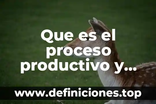 Que es encadenamiento productivo 3 Que es el proceso productivo y sus etapas