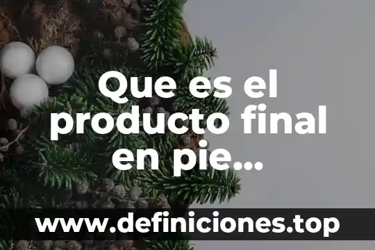 Por que es arte el juicio final 5 Que es el producto final en pie empacado ygranel
