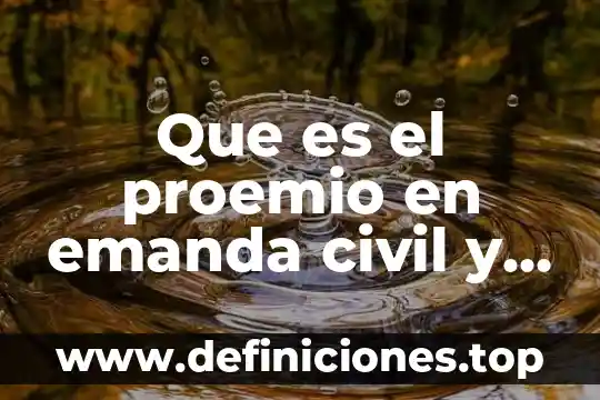 Derecho civil que es persona 7 Que es el proemio en emanda civil y sus elementos