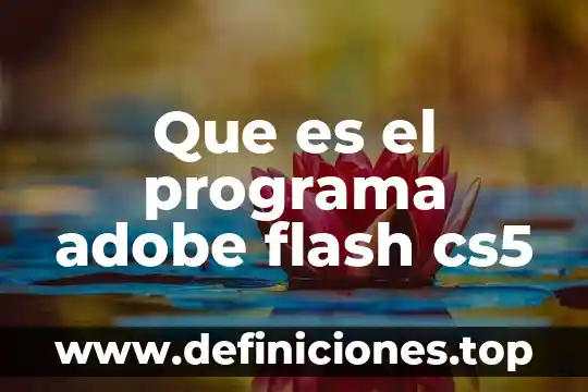 Adobe de caliche que es 4 Que es el programa adobe flash cs5