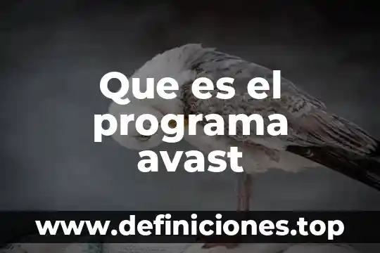 Escudo sistema de archivos Avast que es 5 Que es el programa avast