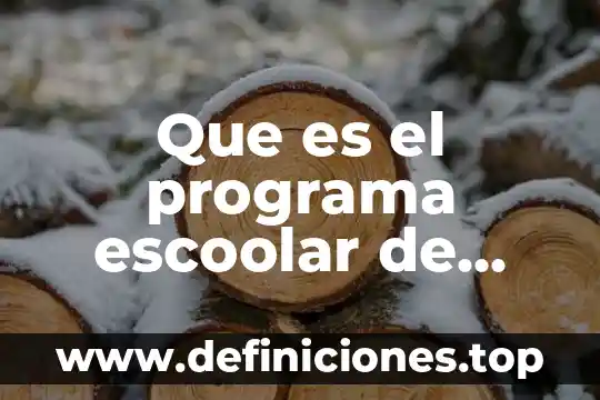 Qué es el programa de gastos catastróficos 7 Que es el programa escoolar de mejora continua